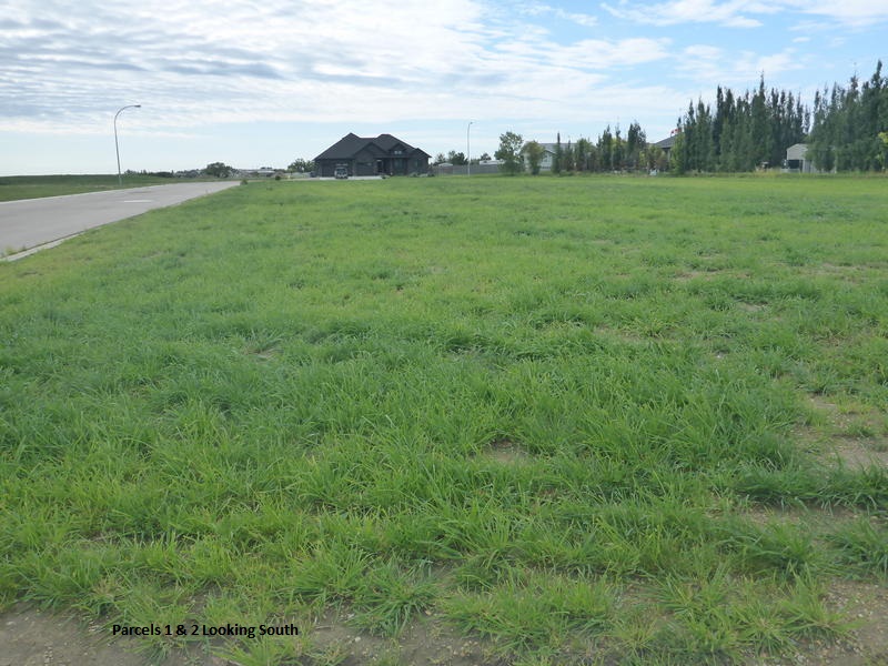 4 fully serviced residential lots for sale in Davidson, SK. Ritchie